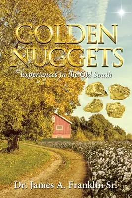 Zlaté nugety: Skúsenosti zo starého Juhu - Golden Nuggets: Experiences in the Old South