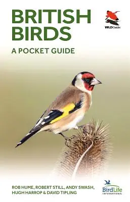 Britské vtáctvo: Vreckový sprievodca - British Birds: A Pocket Guide