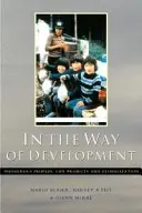 Na ceste k rozvoju - In the Way of Development