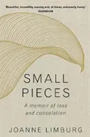 Malé kúsky: Kniha nárekov - Small Pieces: A Book of Lamentations