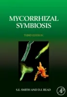 Mykorízna symbióza - Mycorrhizal Symbiosis