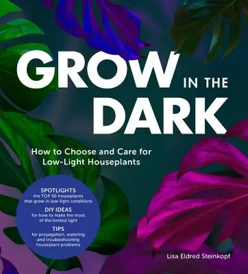 Pestovanie v tme: Ako si vybrať izbové rastliny so slabým osvetlením a starať sa o ne - Grow in the Dark: How to Choose and Care for Low-Light Houseplants