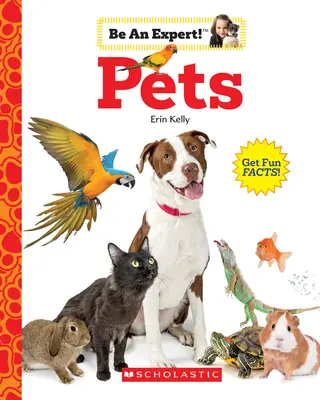 Domáce zvieratá (Buď expert!) - Pets (Be an Expert!)