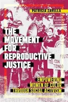 Hnutie za reprodukčnú spravodlivosť: Posilnenie postavenia farebných žien prostredníctvom sociálneho aktivizmu - The Movement for Reproductive Justice: Empowering Women of Color Through Social Activism