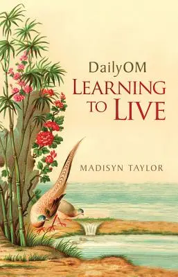 Dailyom: Učme sa žiť - Dailyom: Learning to Live