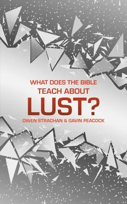 Čo učí Biblia o chtíči? Krátka kniha o túžbe - What Does the Bible Teach about Lust?: A Short Book on Desire