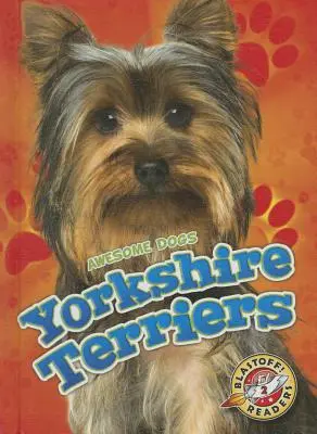 Yorkshirské teriéry - Yorkshire Terriers