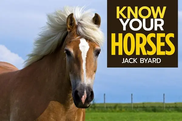 Poznajte svoje kone - Know Your Horses