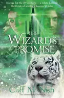 Čarodejníkov sľub - Wizard's Promise