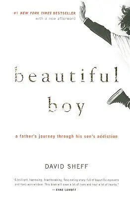 Beautiful Boy (Krásny chlapec): Otcova cesta cez synovu závislosť - Beautiful Boy: A Father's Journey Through His Son's Addiction