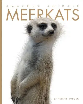 Úžasné zvieratá: Surikaty - Amazing Animals: Meerkats
