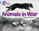 Zvieratá vo vojne - Animals in War
