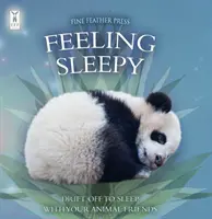 Pocit ospalosti - Feeling Sleepy