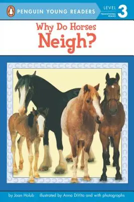 Prečo kone erdžia? - Why Do Horses Neigh?