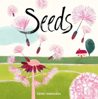 Semienka - Seeds