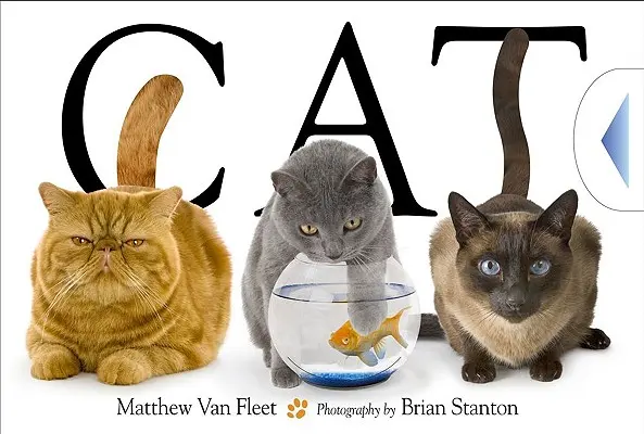 Mačka - Cat
