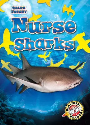 Žraloky ošetrovateľky - Nurse Sharks