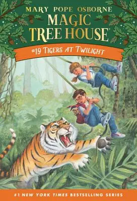 Tigre za súmraku - Tigers at Twilight