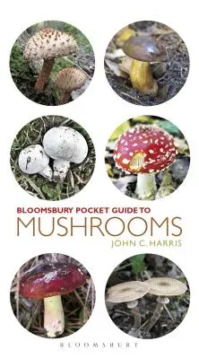 Vreckový sprievodca po hubách - Pocket Guide to Mushrooms