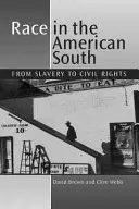 Rasa na americkom Juhu - od otroctva po občianske práva - Race in the American South - From Slavery to Civil Rights