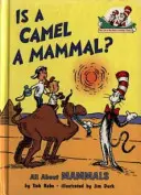 Je ťava cicavec? - Is a Camel a Mammal?