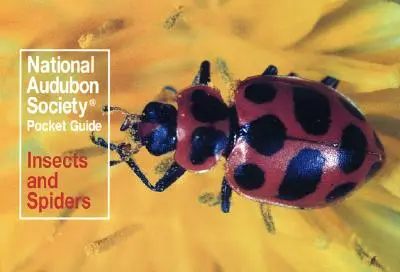 Vreckový sprievodca Národnej Audubonovej spoločnosti: Hmyz a pavúky - National Audubon Society Pocket Guide: Insects and Spiders