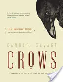 Vrany: Stretnutia s múdrymi chlapcami vtáčieho sveta {10th Anniversary Edition} - Crows: Encounters with the Wise Guys of the Avian World {10th Anniversary Edition}
