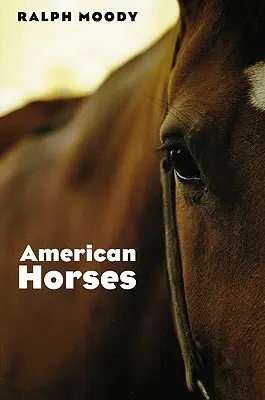Americké kone - American Horses