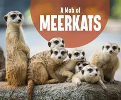 Mob surikát - Mob of Meerkats