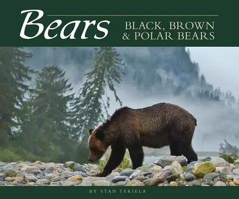 Medvede: Čierne, hnedé a ľadové medvede - Bears: Black, Brown & Polar Bears