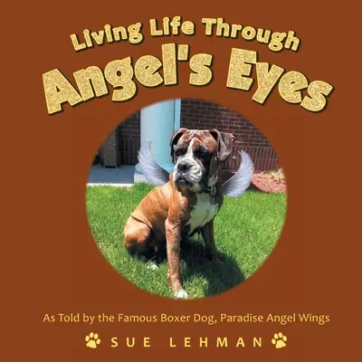 Život očami anjela - Living Life Through Angel's Eyes