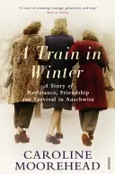 Vlak v zime - Príbeh o odboji, priateľstve a prežití v Osvienčime - Train in Winter - A Story of Resistance, Friendship and Survival in Auschwitz