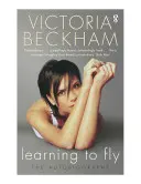 Naučiť sa lietať - Learning to Fly