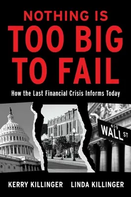 Nič nie je príliš veľké na to, aby zlyhalo: Ako posledná finančná kríza ovplyvňuje dnešok - Nothing Is Too Big to Fail: How the Last Financial Crisis Informs Today