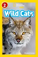 Divoké mačky - úroveň 2 - Wild Cats - Level 2