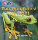 Dažďový prales v noci - The Rainforest at Night