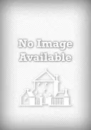 Plameň slávy: Román o bitke pri Shilohu - A Blaze of Glory: A Novel of the Battle of Shiloh