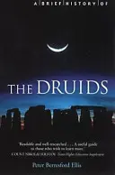 Stručné dejiny druidov - Brief History of the Druids