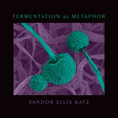 Fermentácia ako metafora: Od autora bestselleru Umenie fermentácie - Fermentation as Metaphor: From the Author of the Bestselling the Art of Fermentation