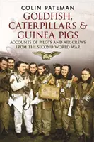 Zlaté rybky, húsenice a morčatá - Príbehy pilotov a leteckých posádok z druhej svetovej vojny - Goldfish Caterpillars & Guinea Pigs - Accounts of Pilots and Air Crews from World War II