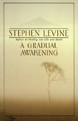 Postupné prebúdzanie - A Gradual Awakening