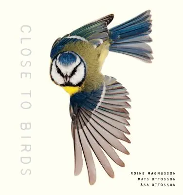 Blízko k vtákom: Blízky pohľad na našich operených priateľov - Close to Birds: An Intimate Look at Our Feathered Friends