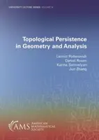 Topologická stálosť v geometrii a analýze - Topological Persistence in Geometry and Analysis