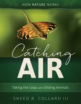 Chytanie vzduchu: Vychádzka: Skok s plachtiacimi živočíchmi - Catching Air: Taking the Leap with Gliding Animals