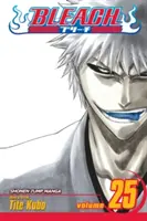 Bleach, zv. 25, 25 - Bleach, Vol. 25, 25