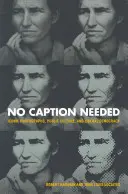 Nie je potrebný žiadny titulok: Ikonické fotografie, verejná kultúra a liberálna demokracia - No Caption Needed: Iconic Photographs, Public Culture, and Liberal Democracy