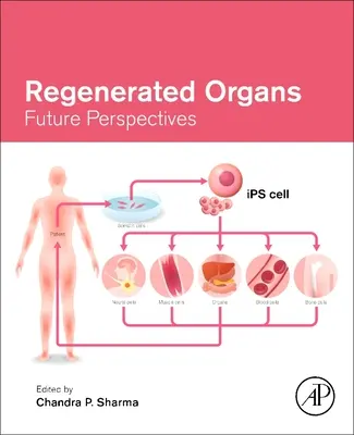 Regenerované orgány: Budúce perspektívy - Regenerated Organs: Future Perspectives