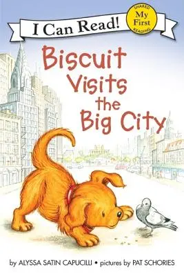 Piškót na návšteve vo veľkomeste - Biscuit Visits the Big City