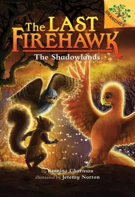 Krajina tieňov: Kniha o vetvách (Posledný jastrab ohnivák #5) (vydanie pre knižnicu), 5 - The Shadowlands: A Branches Book (the Last Firehawk #5) (Library Edition), 5