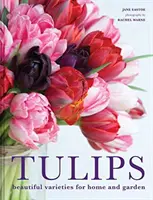 Tulipány - Krásne odrody pre dom a záhradu - Tulips - Beautiful varieties for home and garden